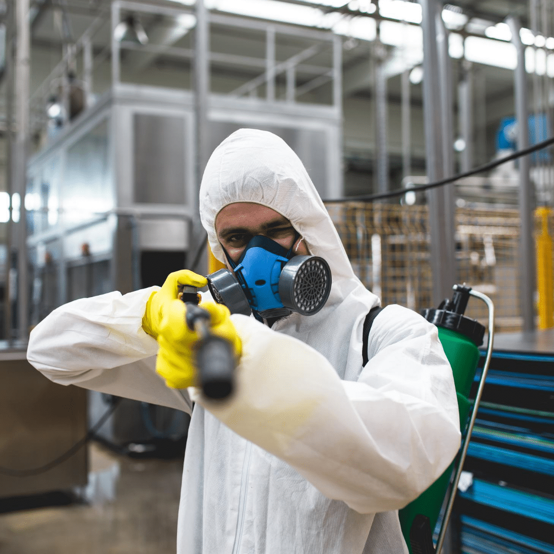 🥇 Los Mejores Productos de Fumigación y Control de Plagas