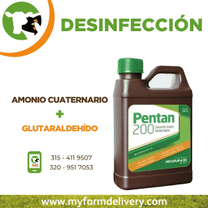 Desinfectante de ambientes y superficies | PENTAN 200 - My Farm Delivery Colombia