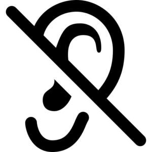 flybus 2 no sound